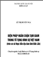 Biện pháp ngăn chặn tạm giam trong tố tụng hình sự việt nam (trên cơ sở thực tiễn địa bàn tỉnh đắk lắk) (tt) 