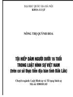 Tội hiếp dâm người dưới 16 tuổi trong luật hình sự việt nam (trên cơ sở thực tiễn địa bàn tỉnh đắk lắk) 