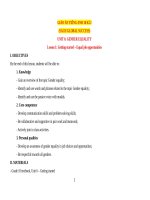 Giáo án tiếng Anh 10 sách Global success (kì 2)