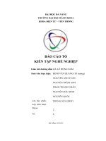 BÁO cáo tổ KIẾN tập NGHỀ NGHIỆP công ty samsung electronic HCMC CE complex 