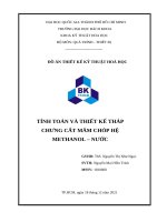 ĐỒ án THIẾT kế kỹ THUẬT HOÁ học TÍNH TOÁN và THIẾT kế THÁP CHƯNG cất mâm CHÓP hệ METHANOL – nước 