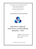 ĐỒ án THIẾT kế kỹ THUẬT HOÁ học TÍNH TOÁN và THIẾT kế THÁP CHƯNG cất mâm CHÓP hệ METHANOL – nước 