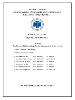 BÁO CÁO TIỂU LUẬN HỌC PHẦN DINH DƯỠNG đề tài Tìm hiểu chế độ dinh dưỡng cho phụ nữ mang thai và cho con bú