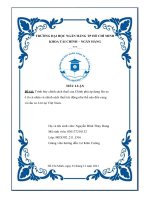 Trình bày chính sách thuế của chính phủ áp dụng lên xe ô tô cá nhân và chính sách thuế tác động như thế nào đến cung và cầu xe ô tô tại việt nam 