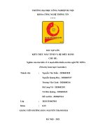 Nghiên cứu tìm hiểu về vi mạch điều khiển ưu tiên ngắt PIC 8259a 