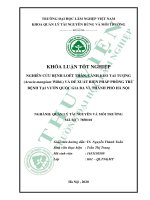 KHÓA LUẬN TỐT NGHIỆP:NGHIÊN CỨU BỆNH LOÉT THÂN, CÀNH KEO TAI TƯỢNG (Acacia mangium Willd.) VÀ ĐỀ XUẤT BIỆN PHÁP PHÒNG TRỪ BỆNH TẠI VƯỜN QUỐC GIA BA VÌ, TP HÀ NỘI