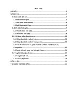 Tiểu luận lịch sử Đảng