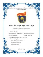báo cáo thực tập Tại Trường nội trú Hy Vọng – Hope School  Tại Hội Liên hiệp Phụ nữ thành phố Đà Nẵng