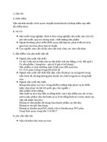 Tiểu luận Vận tải hàng hóa