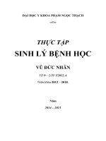 THỰC tập SINH lý BỆNH học  SHOCK CHẤN THƯƠNG THỰC NGHIỆM và cơ CHẾ BỆNH SINH 