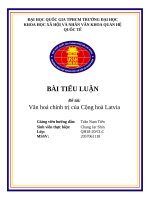 TIỂU LUẬN đề tài văn hoá chính trị của cộng hoà latvia 