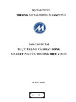 BÁO cáo đề tài THỰC TRẠNG và HOẠT ĐỘNG MARKETING của THƯƠNG HIỆU VIFON 