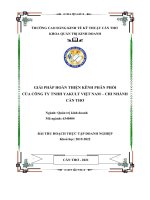 Giải pháp hoàn thiện kênh phân phối của công ty TNHH yakult việt nam    chi nhánh cần thơ 