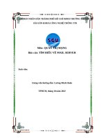 Môn QUẢN TRỊ MẠNG báo cáo tìm HIỂU về MAIL SERVER 