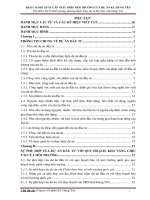 BÁO CÁO ĐỀ XUẤT CẤP GIẤY PHÉP MÔI TRƯỜNG CỦA DỰ ÁN KC HƯNG YÊN Địa điểm: KCN Minh Quang, phường Bạch Sam, thị xã Mỹ Hào, tỉnh Hưng Yên