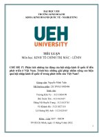 Phân tích những tác động của hội nhập kinh tế quốc tế đến phát triển ở Việt Nam. Trình bày những giải pháp nhằm nâng cao hiệu quả hội nhập kinh tế quốc tế trong phát triển của Việt Nam