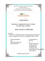 BÁO cáo dự án môn học chuyên đề xây DỰNG và TRIỂN KHAI THỰC HIỆN kế HOẠCH MARKETING MẠNG xã hội CHO cửa HÀNG ACCESSORY UNISEX – TUPB  