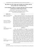 Đặc điểm sản xuất và hiệu quả tài chính của mô hình canh tác xoài cát Hòa Lộc ở tỉnh Hậu Giang