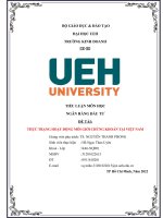 TIỂU LUẬN môn học NGÂN HÀNG đầu tư đề tài THỰC TRẠNG HOẠT ĐỘNG môi GIỚI CHỨNG KHOÁN tại VIỆT NAM 