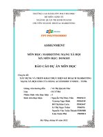 BÁO cáo dự án môn học chuyên đề xây DỰNG và TRIỂN KHAI THỰC HIỆN kế HOẠCH MARKETING MẠNG xã hội CHO cửa HÀNG ACCESSORY UNISEX – TUPB  