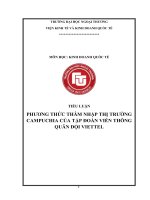 TIỂU LUẬN KINH DOANH QUỐC TẾ PHƯƠNG THỨC THÂM NHẬP THỊ TRƯỜNG CAMPUCHIA CỦA TẬP ĐOÀN VIỄN THÔNG QUÂN ĐỘI VIETTEL