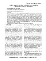 Nhân chồi và tạo rễ in vitro cây Sâm bố chính (Albemoschus sagittifolius (Kurz) Merr.)