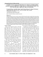 Nghiên cứu đa dạng di truyền của thằn lằn bóng đốm Eutropis macularius (reptilia: squamata: scincidae) ở khu vực Tây Nguyên dựa trên kỹ thuật PCR-RAPD