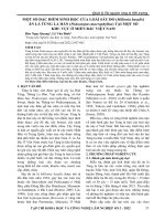 Một số đặc điểm sinh học của loài sâu đo (Milionia basalis) ăn lá Tùng la hán (Podocarpus macrophyllus) tại một số khu vực ở miền Bắc Việt Nam