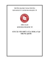 TIỂU LUẬN KINH DOANH QUỐC TẾ  CƠ CẤU TỔ CHỨC CỦA TESLA TẠI TRUNG QUỐC