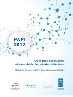 Chỉ số Hiệu quả Quản trị và Hành chính công cấp tỉnh ở Việt Nam Đo lường từ kinh nghiệm thực tiễn của người dân