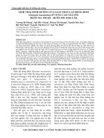 Sinh thái dinh dưỡng của loài thằn lằn bóng đốm (Eutropis macularius) ở vùng cao nguyên Buôn Ma Thuột - Buôn Hồ, Đắk Lắk