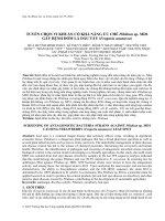 Tuyển chọn vi khuẩn có khả năng ức chế Pilidium sp. MD1 gây bệnh đốm lá dâu tây (Fragaria ananassa)