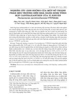 Nghiên cứu ảnh hưởng của một số thành phần môi trường đến khả năng sinh tổng hợp canthaxanthin của vi khuẩn Paracoccus carotinifaciens VTP20181