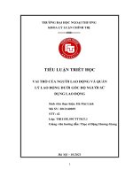 TIỂU LUẬN TRIẾT học VAI TRÒ của NGƯỜI LAO ĐỘNG và QUẢN lý LAO ĐỘNG dưới góc độ NGƯỜI sử DỤNG LAO ĐỘNG 