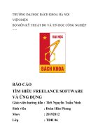 BÁO cáo tìm HIỂU FREELANCE SOFTWARE và ỨNG DỤNG 