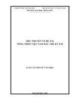 Tiểu thuyết về đề tài nông thôn việt nam đầu thế kỷ XXI 