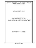 Tiểu thuyết về đề tài nông thôn Việt Nam đầu thế kỷ XXI.
