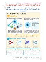 (Tặng) bộ câu hỏi chủ đề tế bào đơn vị cơ sở của sự SỐNG 