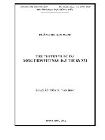 Tiểu thuyết về đề tài nông thôn Việt Nam đầu thế kỷ XXI.