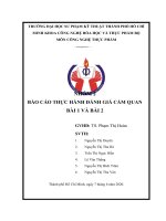 BÁO cáo THỰC HÀNH ĐÁNH GIÁ cảm QUAN bài 1 và bài 2  bài 1 NHỮNG điều KIỆN cơ bản bài 2 các PHÉP THỬ HUẤN LUYỆN cảm GIÁC 