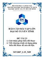 BÁO CÁO BÀI TẬP LỚN ĐẠI SỐ TUYẾN TÍNH