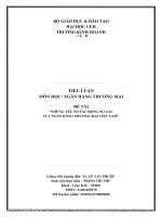 TIỂU LUẬN môn học NGÂN HÀNG THƯƠNG mại đề tài NHỮNG yếu tố tác ĐỘNG nợ xấu của NGÂN HÀNG THƯƠNG mại VIỆT NAM 