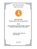 Phân tích, đánh giá quy trình chấm điểm và xếp hạng tín dụng đối với khách hàng cá nhân tại một NHTM cổ phần BIDV