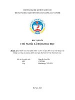 BÀI tập lớn CHỦ NGHĨA xã hội KHOA học đề tài quan điểm của chủ nghĩa mác   lênin về gia đình và sự vận dụng của đảng ta trong xây dựng chính sách gia đình mới ở việt nam hiện nay 