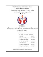 BÁO cáo THỰC HÀNH ĐÁNH GIÁ cảm QUAN bài 1 và bài 2  bài 1 NHỮNG điều KIỆN cơ bản bài 2 các PHÉP THỬ HUẤN LUYỆN cảm GIÁC 