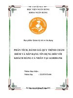 Phân tích, đánh giá quy trình chấm điểm và xếp hạng tín dụng đối với khách hàng cá nhân tại ngân hàng agribank
