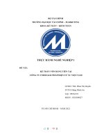 THỰC HÀNH NGHỀ NGHIỆP 1 đề tài kế TOÁN vốn BẰNG TIỀN tại CÔNG TY TNHH GIẢI PHÁP điện tử TC VIỆT NAM 