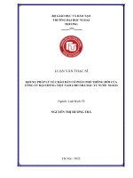 Khung pháp lý về chào bán cổ phần phổ thông mới của công ty đại chúng Việt Nam cho nhà đầu tư nước ngoài