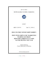 BÁO cáo THỰC HÀNH NGHỀ NGHIỆP 1 PHÂN TÍCH CHIẾN lược MARKETING về DÒNG sản PHẨM ĐỒNG hồ g SHOCK của CASIO tại THỊ TRƯỜNG VIỆT NAM 