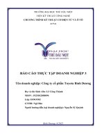 BÁO CÁO THỰC TẬP DOANH NGHIỆP 3 Tên doanh nghiệp Công ty cổ phần Toyota Bình Dương